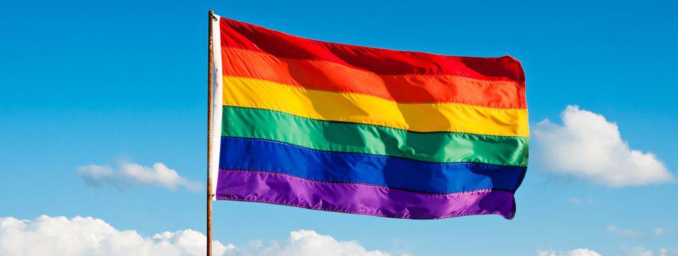 #ELLEOKCasatoriileGay